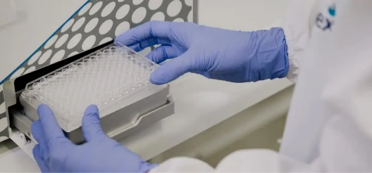 person working at a desk